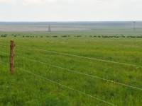 Жер халықтікі