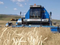 Шорнақта іс ширығып келеді