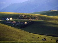 Иассыда 237 шаруа қожалығы бар