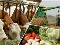 Ауыл шаруашылығы алшаң басуда