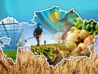 Шаруашылықтардың ісі оңға басып келеді