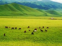 Жердің дауы - елдің дауы