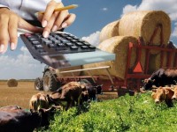 Шаруа қожалықтар бірігу арқылы іріленуде