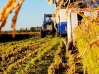 Техникасы бар, жер жоқ, малы бар жайылымы жоқ шаруаларға қолдау керек