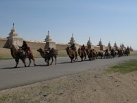 Жібек жолы бойындағы туризімді дамытуға көңіл бөлінуде