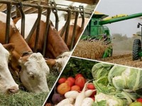 Серпінді жобада серпіліс бар