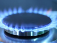 Үшқайықтықтар көгілдір отынның игілігін көруде