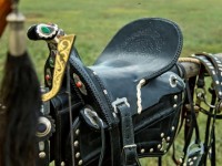 Көшпенді өмір стиліне қызығатын туристер көп