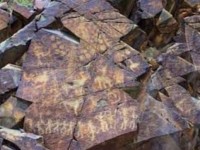 Түркістан: Созақтық жас туристер Арпаөзен петроглифтеріне танымдық экскурсия жасады