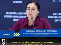 Шымкентте биыл 17 мыңнан астам адам жұмыспен қамтылды