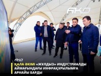 Шымкент: «Жұлдызда» 30-ға жуық жоба жүзеге асырылады