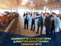 Шымкентте сүт кластеріне арналған семинар өтті