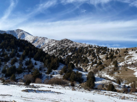 «Top resort» - тау басындағы демалыс орны