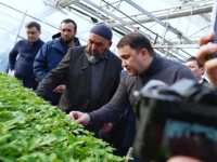 Сарыағашта көтерме дистрибьюторлық орталық ашылуы мүмкін