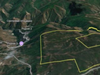 Назарбаевтың Шамалғандағы мемлекетке қайтарылған мүлкі аукционға қойылды