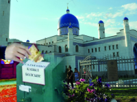 Террористерді қаржыландырып отырған шығармыз- Айгүл Орынбек садақа жайлы пікір білдірді