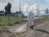 Түркістан облысында шіркейлерге қарсы кешенді дәрілеу жұмыстары жалғасуда