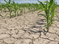 Министр: Оңтүстік өңірлерде  су тапшылығы болуы мүмкін