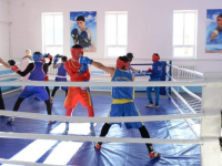 Жамбылдық шенеуніктер қаржы жоқ деген желеумен балалардың спортпен шұғылдану кезегін заңсыз тоқтатқа