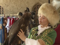 Бүркітші қыз Түркістанда мұражай ашып, жастарды құсбегілік өнерге баулиды