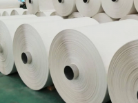 Қазақстанда қарасорадан қағаз шығармақ