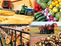 АӨК жалпы өнім көлемі 1,8 трлн теңгеге жетті