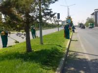 Шымкент: аудан аумақтарында тазалық жұмыстары жүргізілуде